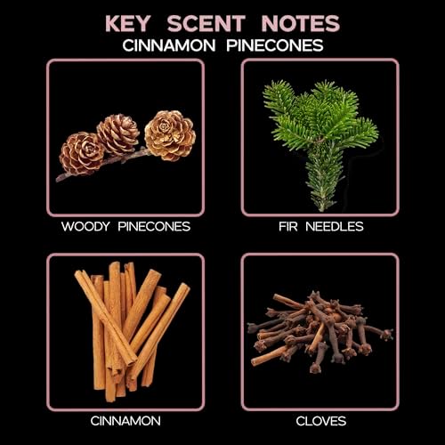 Reed Diffuser Set - Cinnamon Pine Cones Scented Diffuser with Sticks