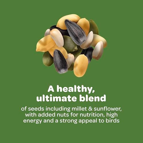 Kaytee Ultimate Nut and Fruit, Wild Bird Seed, 9.75 Pounds