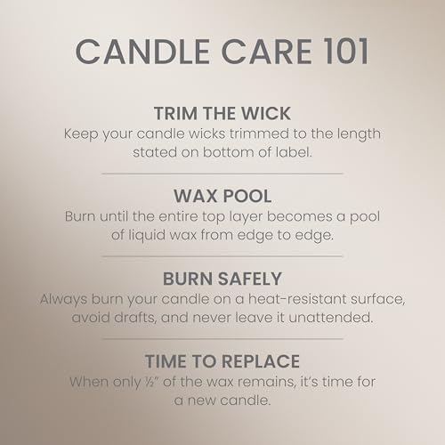 Yankee Candle Amber & Sandalwood Scented Candle, 14.5oz 3-Wick