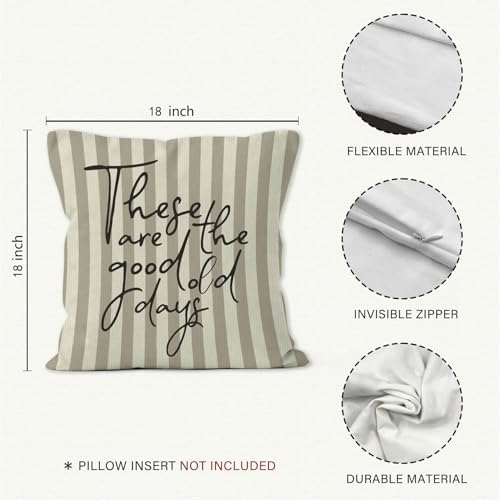 Inspirational These are the Good Old Days Throw Pillow Cover 18x18, Positive Motivational Decorative Pillow Covers for Home Living Room Bedroom, Neutral Striped Accent Pillows Cover Pillowcases