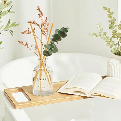 COCORRÍNA Reed Diffuser Set of 3 with Dried Eucalyptus for Home & Office