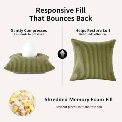 2 Pack 18 x 18 Decorative Throw Pillows with Insert Included