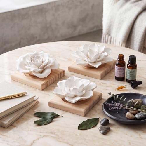 3 Pcs Passive Essential Oil Diffuser Stone Set, Natural Wood Tone