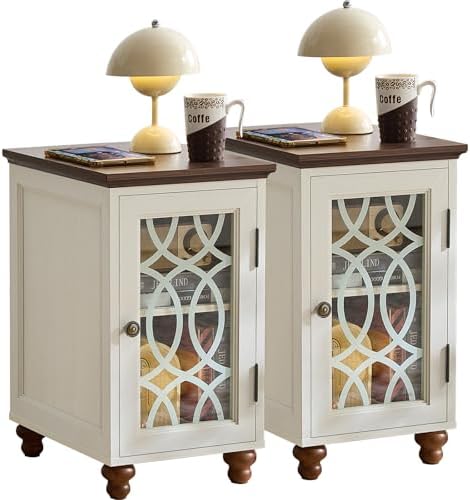 Joaxswe Narrow Side Table Set 2 with Glass Door Storage