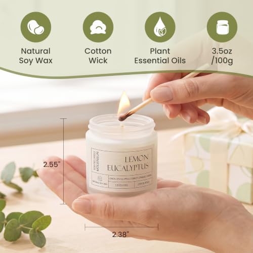 Molensun Scented Candles for Home, 6 Scents, 3.5 oz Each, Soy Wax Gift Set