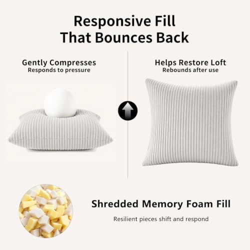 2 Pack 18 x 18 Decorative Throw Pillows with Insert Included