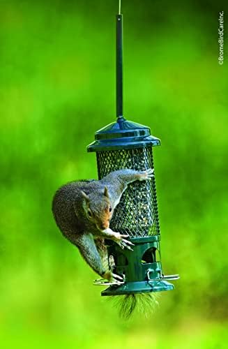 Squirrel Buster Standard Squirrel-Proof Bird Feeder w/4 Metal Perches, 1.3-Pound Seed Capacity, Garden Green, (Pack of 4)