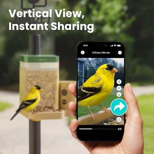 Birdfy Smart Bird Feeder with Camera for Beginners, Solar Powered Rookie