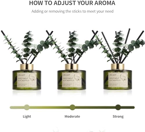 Airkeep Reed Diffuser Set with 6.76 fl oz Wild Mint & Eucalyptus Scent Essential Oils and 3 Leaves & 8 Diffuser Sticks,Bathroom Shelf Decor & Air Freshener, House Bedroom Office Decor & Gifts