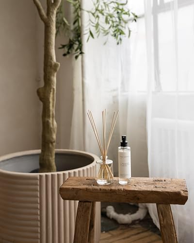 Brooklyn Candle Studio Luxury Palo Santo Reed Diffuser, 8 Rattan Reeds