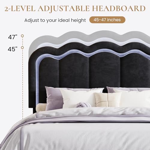 SHA CERLIN Queen Size Bed Frame with LED Lights and Storage Drawer, Black