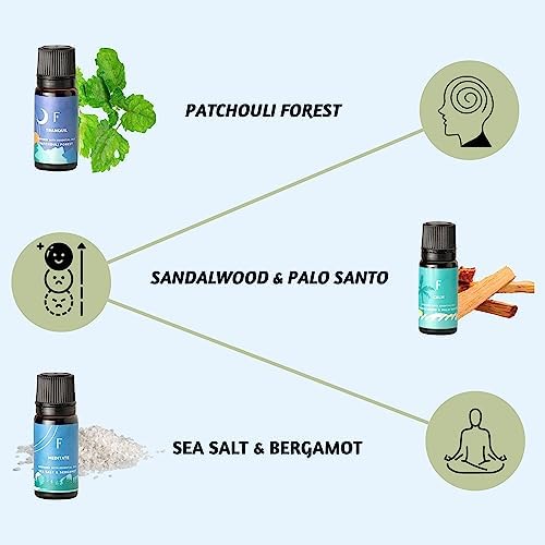 Folkulture Essential Oils Set for Diffuser | Set of 6 Everyday Aromatherapy Oils | Palo Santo, Lavender, Sandalwood, Citrus & Balanced Blend Oils | AM to PM Home Fragrance Oils & Wellness Gift Set