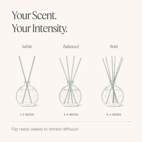 LA JOLIE MUSE Eucalyptus Sage Reed Diffuser, Scented Room Diffuser for Home