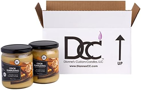 Pumpkin Spice Two Pack Odor Eliminating Highly Fragranced Candle - Eliminates 95% of Pet, Smoke, Food, and Other Smells Quickly - Up to 80 Hour Burn time - 12 Ounce Premium Soy Blend