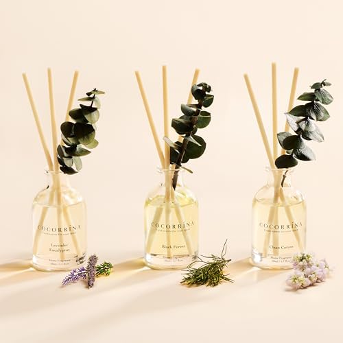 COCORRÍNA Reed Diffuser Set of 3 with Dried Eucalyptus for Home & Office