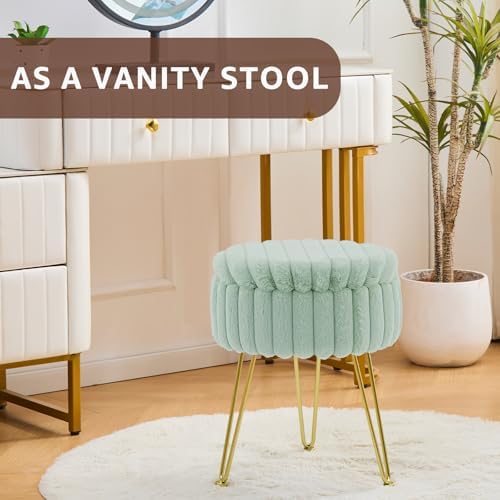 Wimarsbon Vanity Stool with Storage, Faux Fur Ottoman Chair with Metal Legs