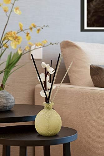 10 inch 20 Pcs Natural Rattan Wood Reed Diffuser Sticks