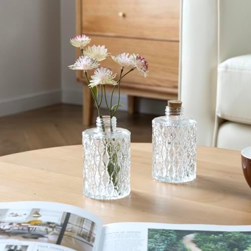 MyGift Clear Glass Reed Diffuser Bottles Vintage Apothecary Vases Set of 2