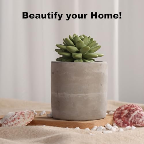 Reed Diffuser Set, Pretty Valley Home Succulent Gypsum Ceramic Fragrance Diffuser Vase Set - 3.38 fl oz (100 ml), Home Fragrance Reed Diffuser (Frozen PEAR S)