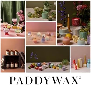 Paddywax Petite Reed Diffuser Set, Meyer Lemon, Yellow, 1.5 oz