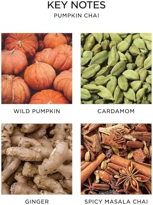 NEST New York Smart Home Fragrance Refill, Pumpkin Chai