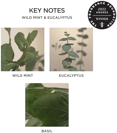 NEST New York Wall Diffuser Refill, Wild Mint & Eucalyptus