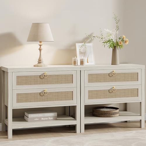 Eclatara Large Rattan Night Stand Set of 2 with 2 Drawers and Storage Shelf