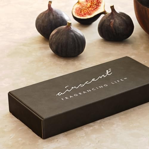 AirScent Santal Diffuser Oil 3 Pack Gift Set - Santal Vanilla, 1033 & 1026