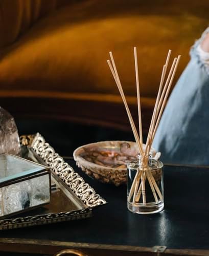 Brooklyn Candle Studio Italia Reed Diffuser, Cardamom & Vanilla, 4.4oz
