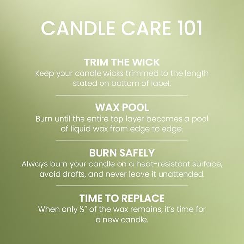 Yankee Candle Vanilla Lime Scented Candle, 22oz Large Jar