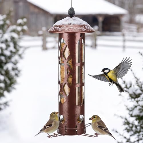 Veehoo Squirrel Proof Bird Feeders for Outdoors Hanging, Holds Up to 3.5 lb