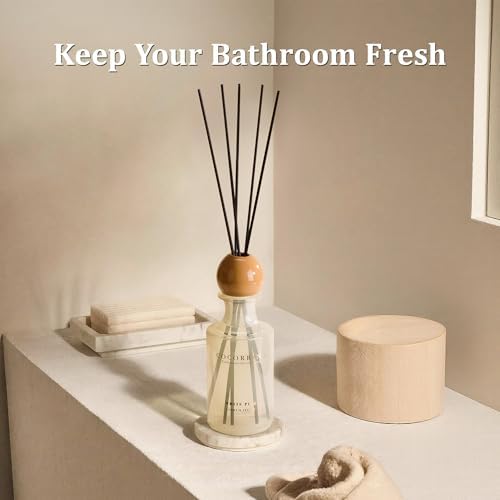 COCORRÍNA Reed Diffuser 8.5 oz Large Capacity White Pine Scent