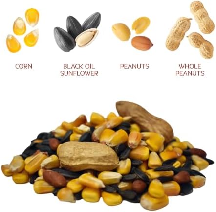 Audubon Park Squirrel & Critter Food, 10 lb