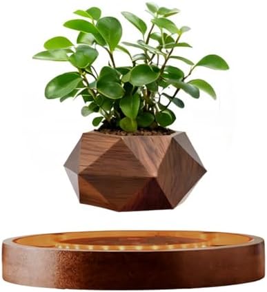 MOOCCI Levitating Plant Pot with Light, Magnetic Floating Flower Pot with Rotating and Auto-Spinning, Brown Wood Grain Planter for Succulents, Cool Desk Decor for Home Office, Unique Gift Idea
