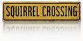 Rustic Farmhouse Metal Tin Sign, Squirrel Crossing Sign, Vintage Animal Road Signs for Porch, Yard, and Farmhouse, Animal Crossing Warning Signs, Perfect for Garden and Road, 15.7 x 3.9 inches