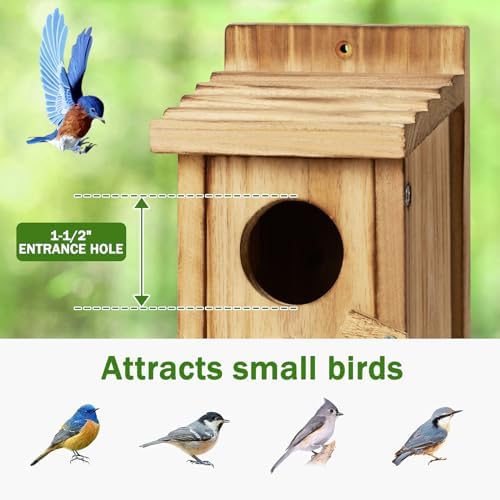Small Wooden Birdhouse with Front Cleaning Door
