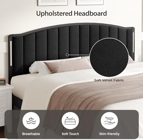 Upholstered Tufting Headboard for Full Size Bed with Lights, Black