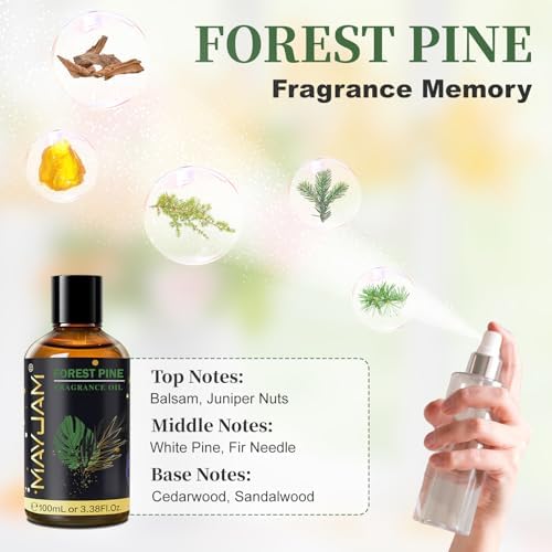 MAYJAM Forest Pine Fragrance Oil for Diffusers for Home, 100ML/3.38FL.OZ