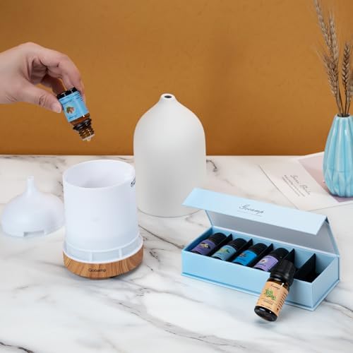Gooamp Essential Oils Set-Top 6 Organic Blends Scents for Diffuser for Home