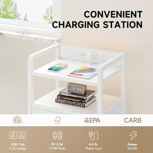 Lazzanto Nightstand with Rear Charging Station, LED Light, 2 Drawers, White
