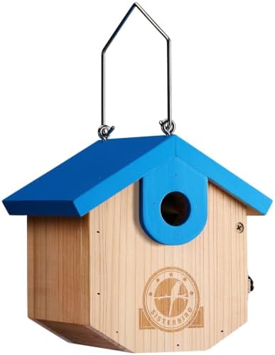 SISTERBIRD Wren Bird Houses for Outside, Bird House Warming Gifts, Blue