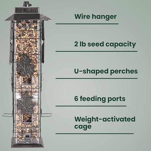 Perky-Pet Squirrel-Be-Gone Bird Feeder, 2 lb Seed Capacity