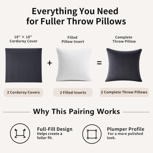 2 Pack 18 x 18 Decorative Throw Pillows with Insert Included