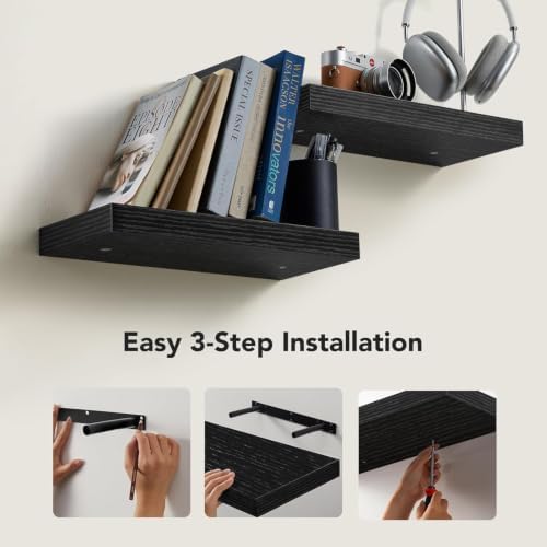 Amada 15 Inch Floating Shelves with Invisible Brackets, Set of 2, Black