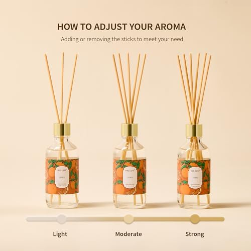 Airkeep Reed Diffuser Oil Set with Reed Sticks, Clean Linen Aromatherapy Oil Scent Diffuser for Home Office Bathroom Decoration Perfume and Gifts 3.38 oz/100ml
