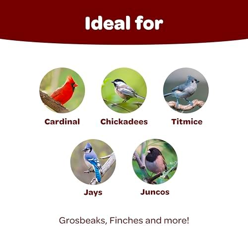 Kaytee Songbird Wild Bird Seed Food, Blended for Grosbeaks, Chickadees, Titmice, Cardinals, Nuthatches & More, 7 Pounds