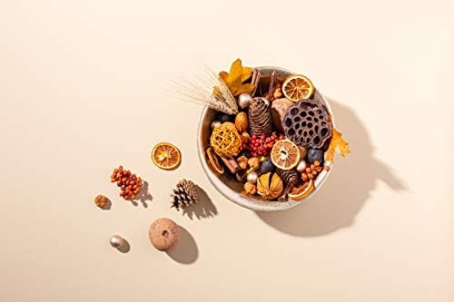 ANDALUCA Blissful Harvest Potpourri | Made in California | Large 20 oz Bag w/Fragrance Vial Included | Scents of Orange Zest, Nutmeg and Pumpkin