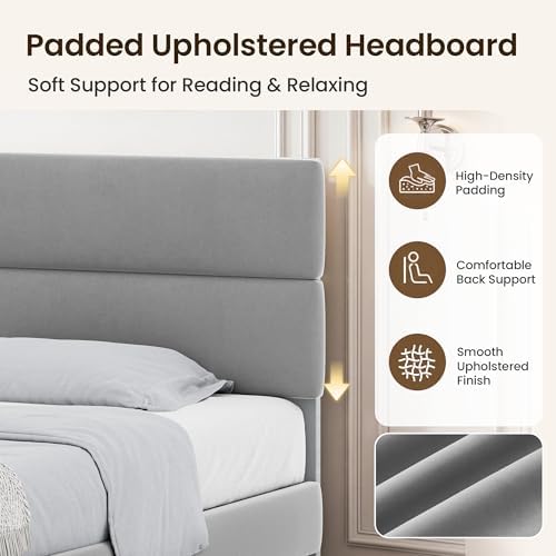 GRUSIGN Platform Bed Frame with Velvet Headboard, Adjustable Height Wooden Slats Support, Upholstered Mattress Foundation, Fits Mattress or Mattress with Box Spring, Easy Assembly, Grey, Queen