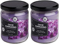 Lilac Blossom Two Pack Odor Eliminating Highly Fragranced Candle - Eliminates 95% of Pet, Smoke, Food, and Other Smells Quickly - Up to 80 Hour Burn time - 12 Ounce Premium Soy Blend