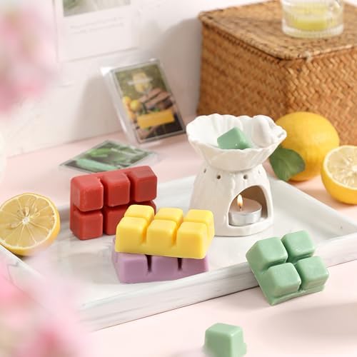 Summer Scented Wax Melts,Natural Soy Wax Cubes for Wax Warmer